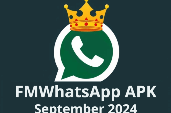 FMWhatsApp APK Free Download [FMWA] Latest version: 2024